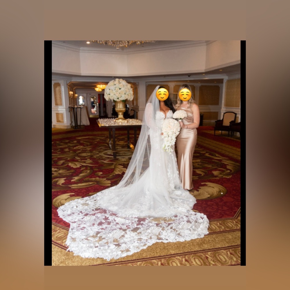 Essense of Australia WEDDING DRESS AND VEIL ๐ฐ๐ปโโ๏ธ - Picture 14 of 15